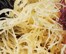 Load image into Gallery viewer, 8 oz Premium Wild Crafted St. Lucia "Gold" Sea Moss
